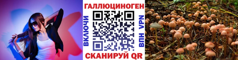 Купить  Лобня  Галлюциногенные грибы мицелий 